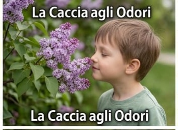 Oplus_16908288